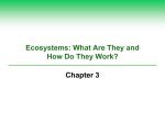 Eco. Ecosystems Ch. 3