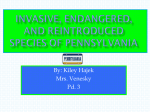 powerpoint bio kiley