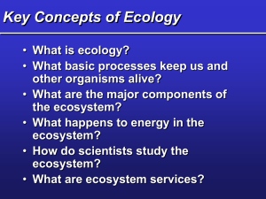 Ecology notes