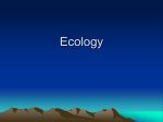 Ecology