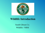 Wildlife Introduction