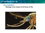 1.1 The Study of Life - MrsCooksBayHighScienceClass