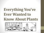 Everything You’ve Ever Wanted to Know About Plants