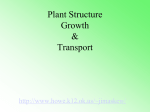 I. Characteristics of Plants