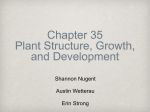 chpt 35 plants