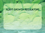 Plant Growth Regulators