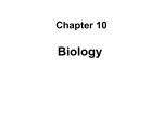 Chapter 7