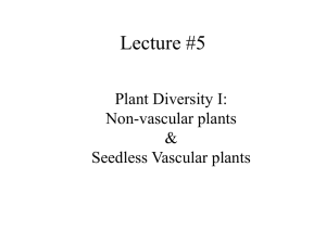 Plant Diversity I: Non-vascular vs. vascular plants