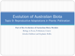 1.9 Reproductive Adaptations in Plants Pollination