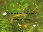 Littoral Plant Communities