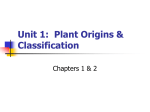 Unit 1: Plant Origins & Classification