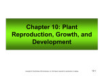 Chapter 10: Plant Reproduction, Growth, and Development