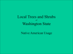 Native American Plant Use