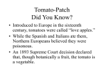 Tomato-Patch Did You Know?