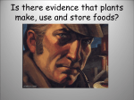 L.OL.07.63 Evidence that Plants make, use and store Food