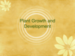 Plant Growth and Development