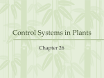 Control Systems in Plants