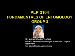 PLP 3104 FUNDAMENTALS OF ENTOMOLOGY GROUP 3