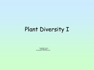 PLANT DIVERSITY I - Falmouth Schools