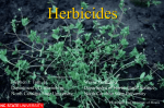 Crop Profiles for North Carolina Agriculture