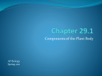 Chapter 29.1