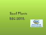 Seed Plants - Biology Department