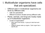I. Multicellular organisms have cells that are specialized.