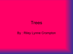 Trees