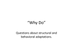 “Why Do”