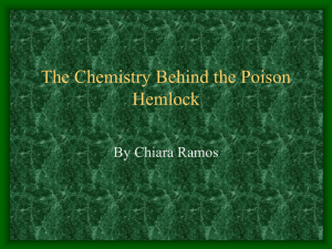 the chemistry behind the posion hemlock