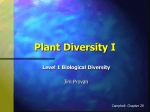 Plant Diversity I