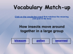 Vocabulary Match-up Click on the vocabulary word