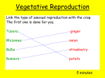 Plant Cultivation Revision Quiz