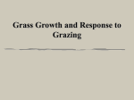 Grass Growth and Response to Grazing