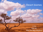 4thDesert biomes