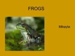 FROGS