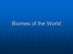 Biomes of the World