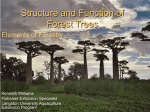 chap3structure and f.. - Langston University Research and Extension