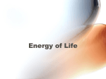 Energy of Life