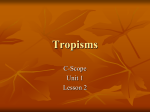 Tropisms