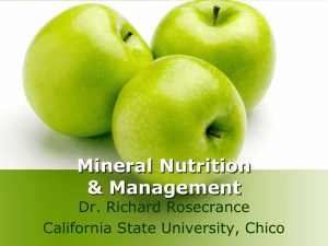 Mineral_Nutrition_talk