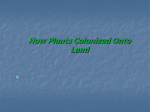 How Plants Colonized onto Land