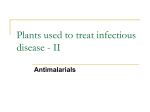 Infectious Diseases