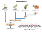 intro__seedless_plants_ch._28_only_4_phyla_web_page_version