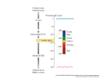 Unit 10 Photosynthesis