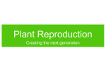 Ch44a-Plant_reproduction