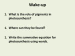 Photosynthesis II - christophersonbiology