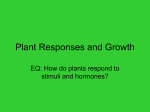 Plant Responses and Growth