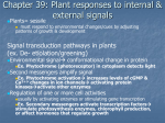 Chapter 39: Plant responses to internal & external signals