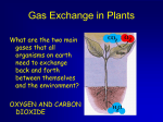 GasExchangePlants